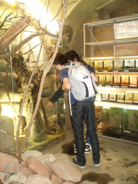 Biologicko-chemická praktika v Plzni