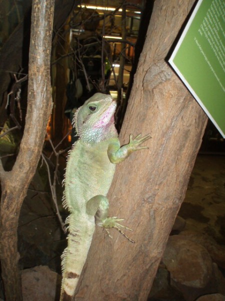 Biologicko-chemická praktika v Plzni