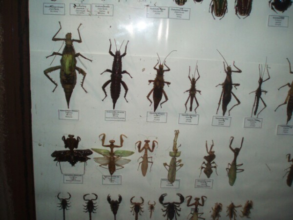 Biologicko-chemická praktika v Plzni