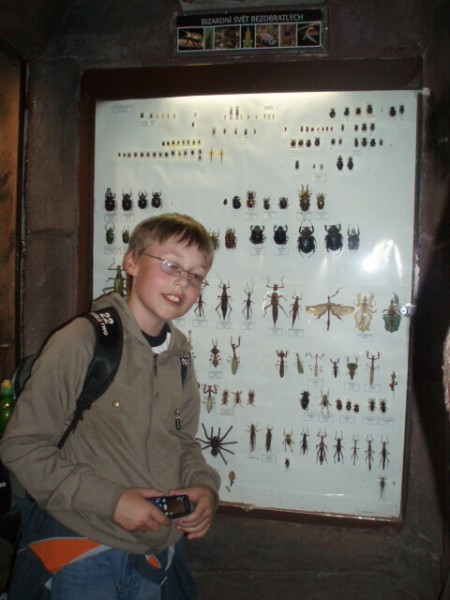 Biologicko-chemická praktika v Plzni