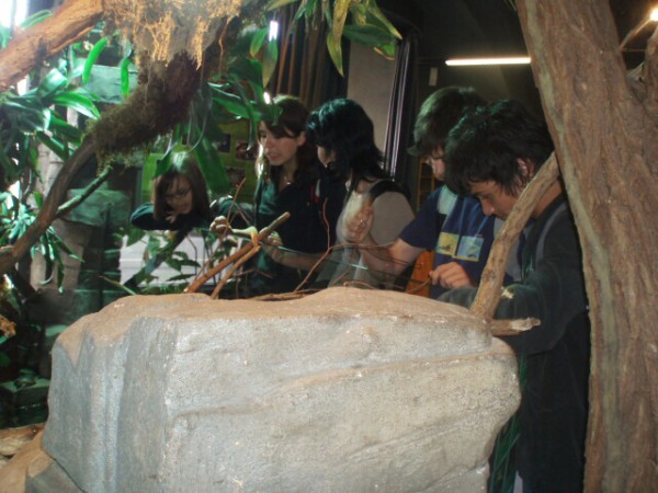 Biologicko-chemická praktika v Plzni