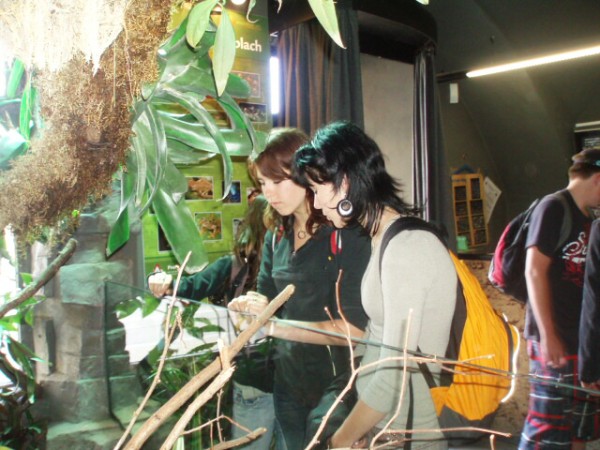 Biologicko-chemická praktika v Plzni