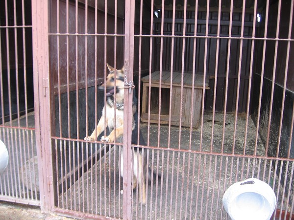 Nvtva u policie - 3.B