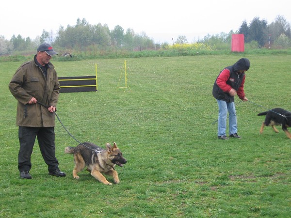 Nvtva u policie - 3.B