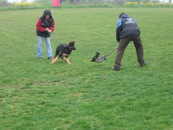 Nvtva u policie - 3.B