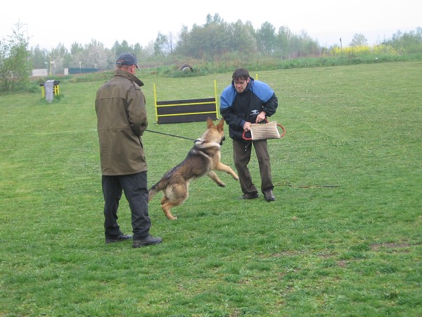 Nvtva u policie - 3.B