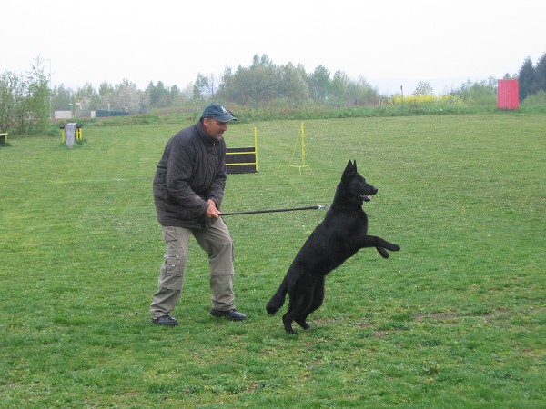 Nvtva u policie - 3.B