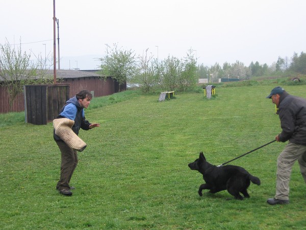 Nvtva u policie - 3.B