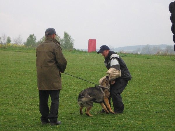 Nvtva u policie - 3.B