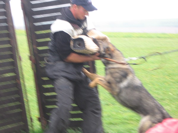 Nvtva u policie - 3.B