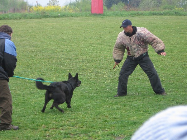 Nvtva u policie - 3.B