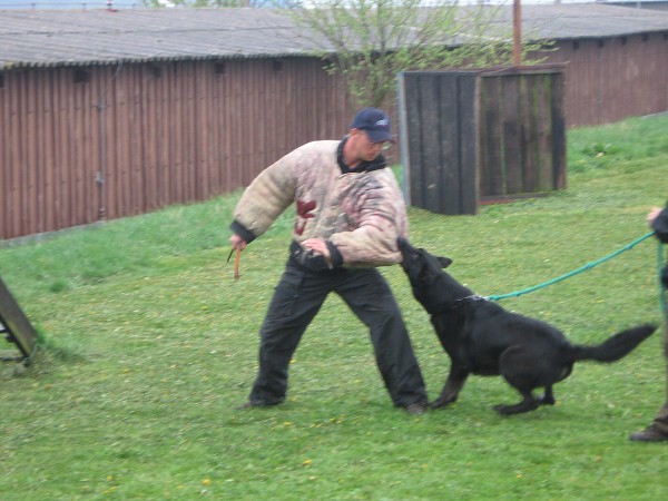 Nvtva u policie - 3.B