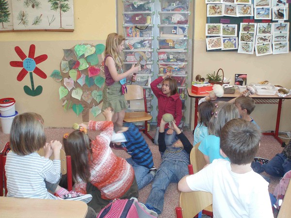 Houbeles aneb houby jako z pohádky
