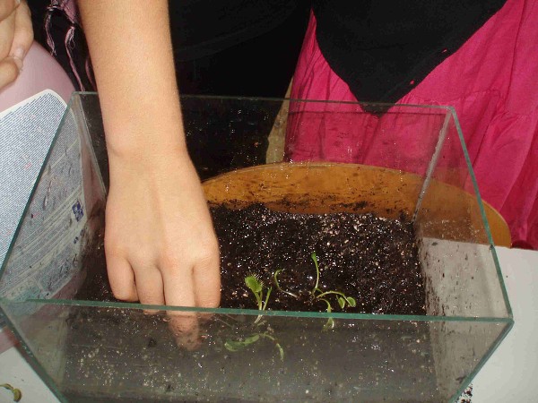 Při hodině chemicko-biologických praktik