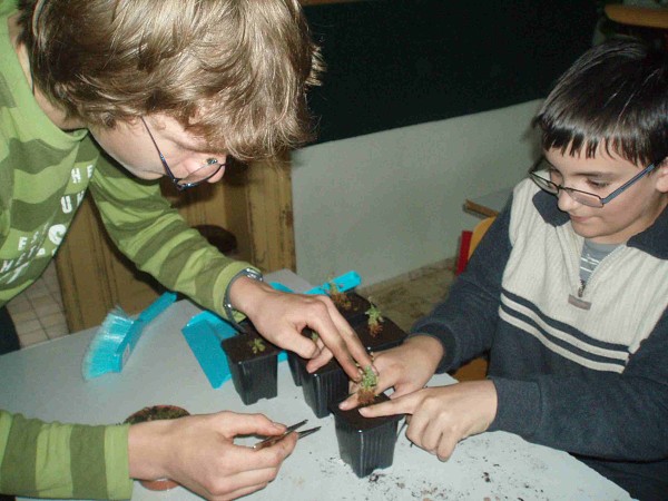 Při hodině chemicko-biologických praktik