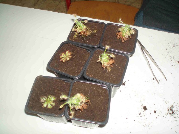 Při hodině chemicko-biologických praktik