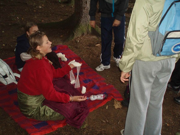 Evropský den bez aut