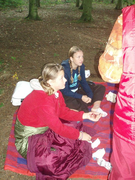 Evropský den bez aut